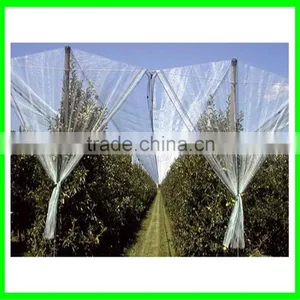 Anti Hail Net,hail Protection Net for Fruit Plantations Apple Tree thumbnail-2