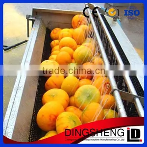 Full Stainless Steel Vegetable Brush Washing Equipment thumbnail-1