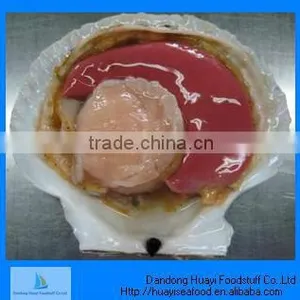 Frozen Hokkaido Half Shell Scallop thumbnail-1