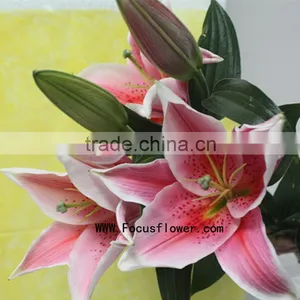 Decoration Flower Fresh Lily Flower With 1.7~3.5KG/Bundle Water Lily Flower Named As Fresh Cut Lily Tiber From Focus/Kunming thumbnail-2