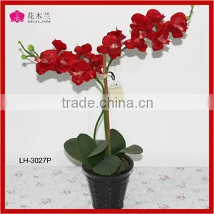 Cream Real Touch Orchid Wholesale Decorative Cheap Silk Flowers thumbnail-1