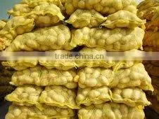Potato thumbnail-1