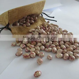 CHITEE BEANS thumbnail-1