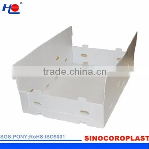 PP Plastic Corrugated Packaging Box thumbnail-6