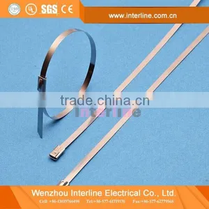 Professional Manufacture 201 Stainless Steel Strap thumbnail-2
