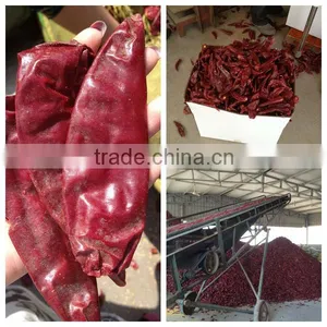 Dried , Red , Hot , Whole Pod, American Red thumbnail-1