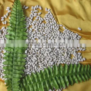 Bai Sha ke Chinese Dry White Kidney Beans thumbnail-5