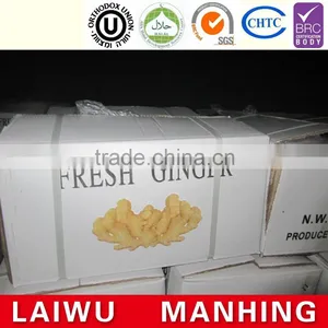 2016 Chinese Fresh Ginger for Hot Selling thumbnail-1