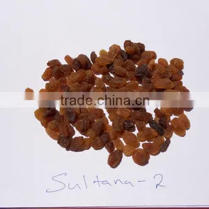 INDIAN SULTANA RAISIN thumbnail-1