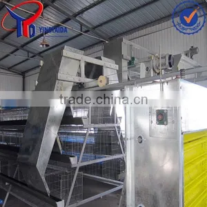 Metal Wire Mesh Broiler Chicken Poultry ( ISO9001 Factory) thumbnail-4