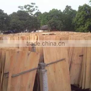 HOT SALE SHORT EUCALYPTUS/ACACIA CORE VENEER FOR PLYWOOD thumbnail-2