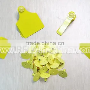 Low/High Frequency Embedded RFID Tags for Animals Tracking thumbnail-1