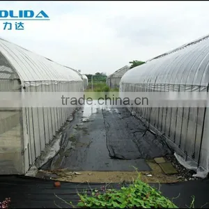 Agriculture Grow Tent thumbnail-3