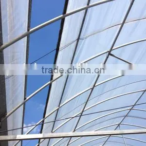 PC Solid Sheet Roof Greenhouse High Quality thumbnail-2