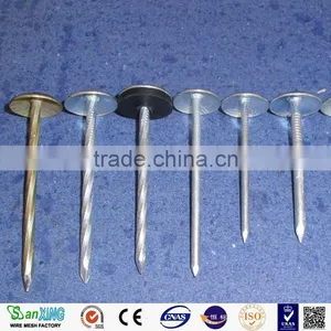 Big Head Roofing Nails Free Sample Carton Packing thumbnail-1