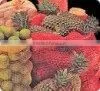 Fruit Packaging Bags thumbnail-1