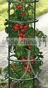 Garden Flower Support thumbnail-1