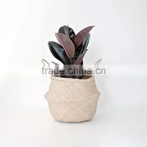 Natural Belly Seagrass Basket / Planter for Home Decoration thumbnail-1