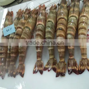 Tiger Shrimps HOSO thumbnail-1