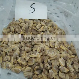 Fully Cooed Short Necked Clam Meat thumbnail-2