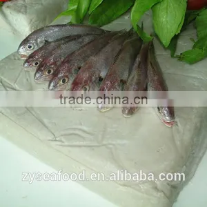 Natural Cheap Block Frozen Halal Fish Surimi thumbnail-1
