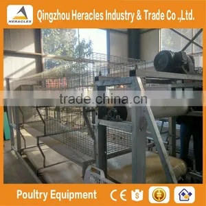 Heracles Trade Assurance Poultry Farming Equipment Layer Chicken Cage for Sale in Philippines thumbnail-2