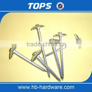 Umbrella Roofing Nails/coil Roofing Nails thumbnail-2