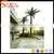 Hot Sale Plastic Cheap Artificial Date Palm Trees and Outdoor&Indoor Fake Palm Trees Prices thumbnail-4