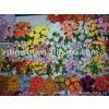 Imitation Flower,craft Flower,artificial Plant Artificial Bonsai Leaf,... thumbnail-1