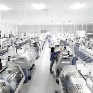 Inner Mongolia Sheng Lun Cashmere Factory company overview - view 2 thumbnail
