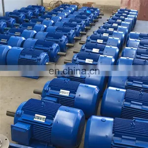 YE2 Series High Speed Electric Motor Three Phase Induction Motor for Industry Machinery Asynchronous Motor thumbnail-5
