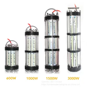 600W 1000W 1500W 3000W 220VAC Deepsea Underwater Fishing Lure LED Fishing Light thumbnail-1