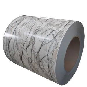 Anti-UV PPGI SMP PVDF Color Steel Coil 0.4mm 0.5mm Z80 Outdoor Weather Resistant Grade thumbnail-1