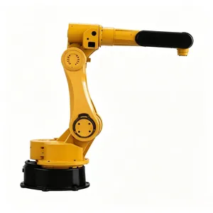 High Quality Automatic Case Carton Palletizer Robot for Wide Use thumbnail-1