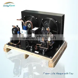 Commercial Refrigerating Walk-in for Food in Cold Quality Choice thumbnail-3