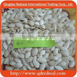 Shin Skin Pumpkin Seeds thumbnail-1