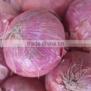 Wholesale Onion thumbnail-1