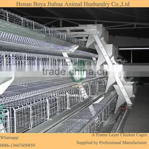 Poultry Farm Automatic Drinking System Feeding System for 10000 Chickens thumbnail-3