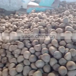 Dried Coconut Meat Ball Copra From India thumbnail-4