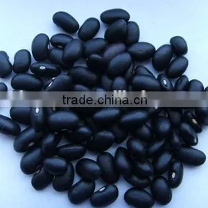 New Crop Kidney Beans, Black Beans With High Quality for Sale thumbnail-5