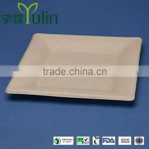 T028-UB Unbleached 10 Inches Disposable Flate Square Sugar Cane Paper Plate thumbnail-1