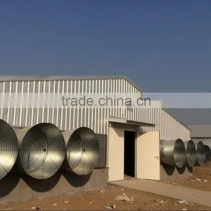 Professional Broiler Chicken House Building thumbnail-4