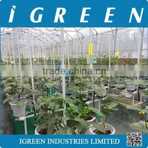 Dutch Pot Vegetable Growing System thumbnail-4