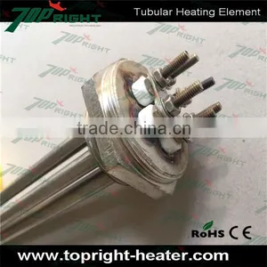 3kw Customized U Type SUS304 Electric Water Immersion Flange Heater and Flange Tubular Heater thumbnail-1