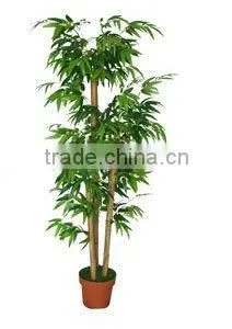 Artificial Plants thumbnail-1