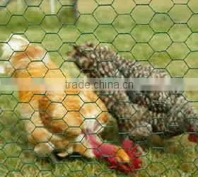 1/2'' Galvanized Hexagonal Wire Mesh Dingzhou Factory thumbnail-1