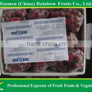 Grapes From China With Sweet Taste thumbnail-5