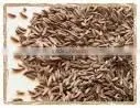 Caraway Seeds thumbnail-1