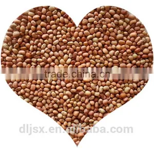 JSX Selected White Cowpeas Grade a Greatest Cowpea Bean thumbnail-1