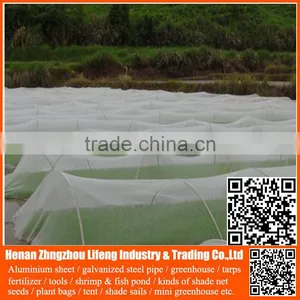 China Manufacture Hdpe With uv Greenhouse Insect Net , Plastic Agriculture pe Anti-insect Net , Nylon Insect Net With Low Price thumbnail-5